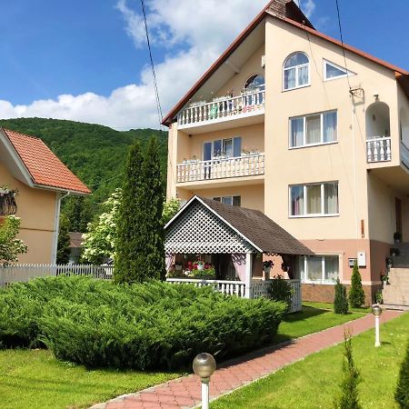 У Оксани Hotel Solochyn Exterior photo