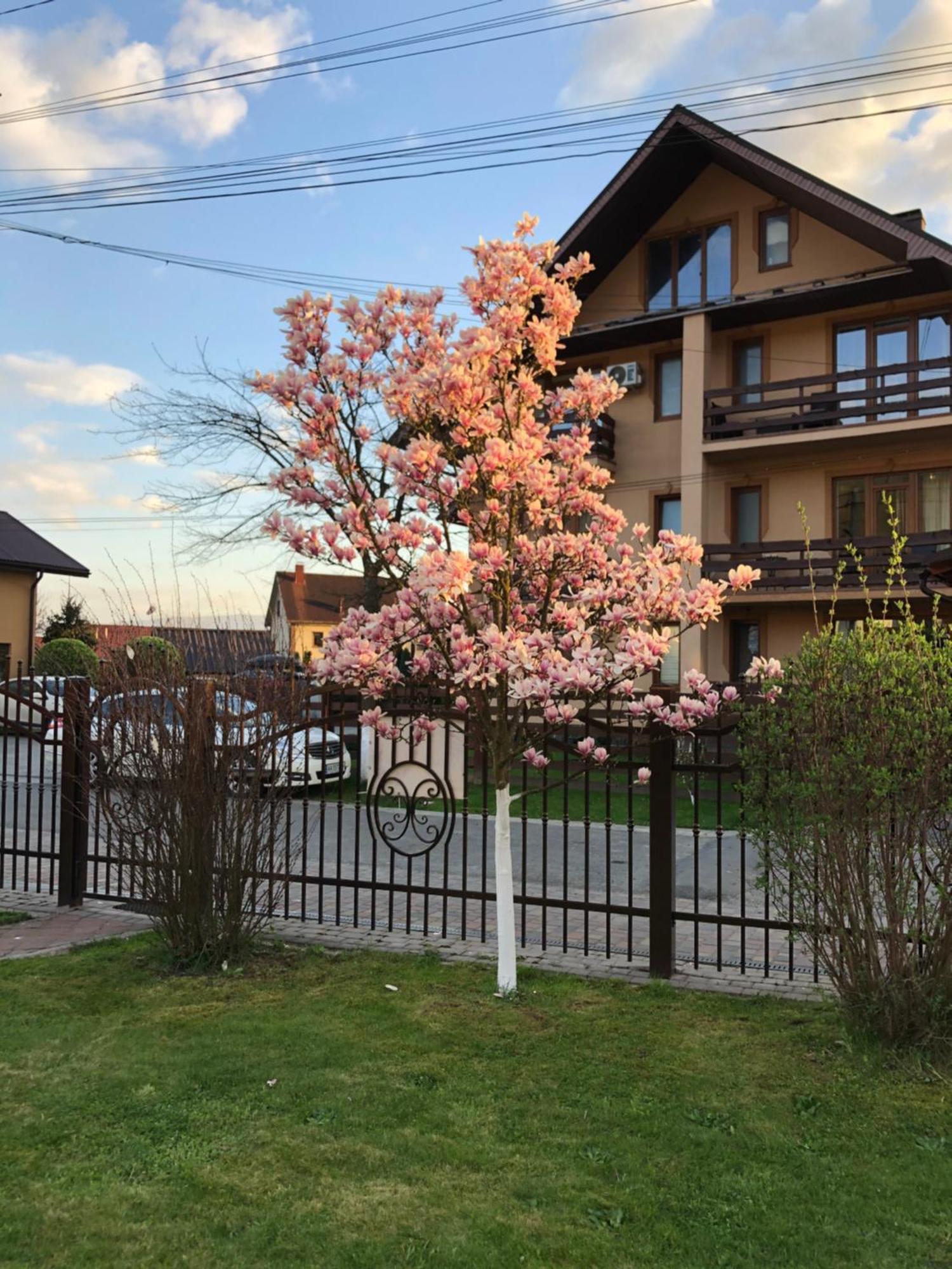 У Оксани Hotel Solochyn Exterior photo